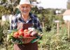 Entenda as regras para a aposentadoria rural